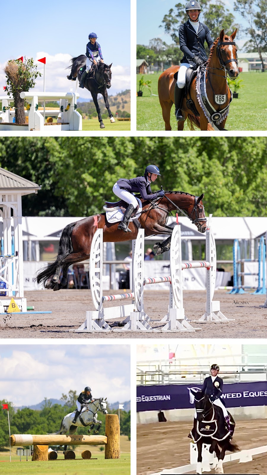 CH Eventing | 68 Summer Hill Rd, Branxton NSW 2335, Australia | Phone: 0447 008 470