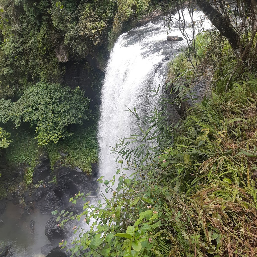 Zillie Falls, Qld | Wooroonooran QLD 4886, Australia | Phone: (07) 4091 4222