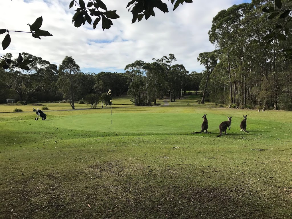 Sussex Inlet Golf Club | 7 Golfcourse Way, Sussex Inlet NSW 2540, Australia | Phone: (02) 4441 2259