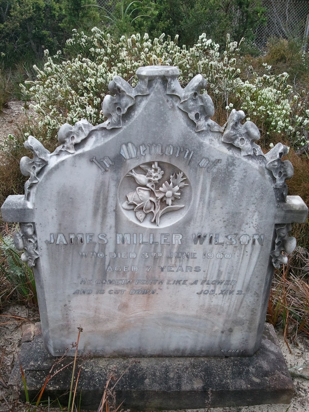 Third Quarantine Cemetery | cemetery | 80 N Head Scenic Dr, Manly NSW 2095, Australia