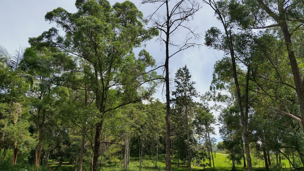 Nimbin Habitat Gardens | park | 12A Cecil St, Nimbin NSW 2480, Australia