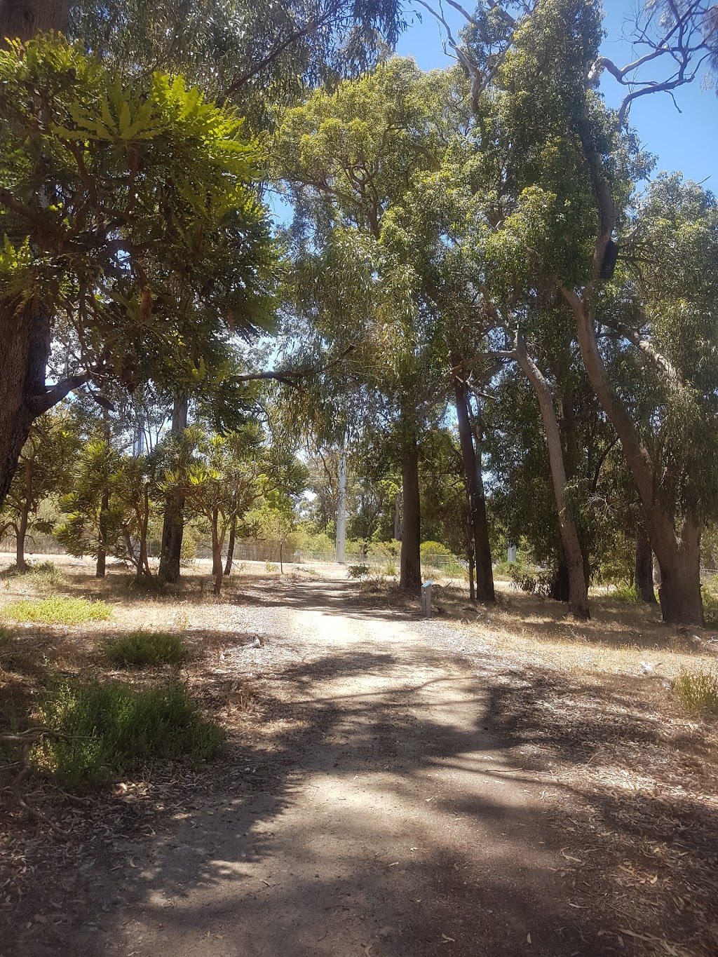 Marlee Reserve | park | 101 Marlee Rd, Parklands WA 6180, Australia