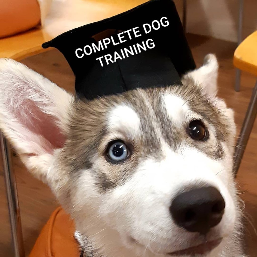 Complete Dog Training | 115 Mudgeeraba Rd, Worongary QLD 4213, Australia | Phone: 0422 402 545