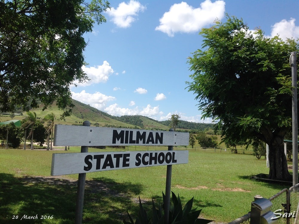 Milman State School | school | 335 Milman Rd, Milman QLD 4702, Australia | 0749343106 OR +61 7 4934 3106