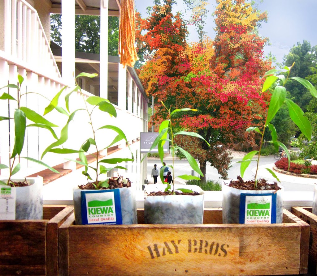 Bright Food Co-op | Bright Stadium, 27 Deacon Ave, Bright VIC 3741, Australia | Phone: 0401 357 329