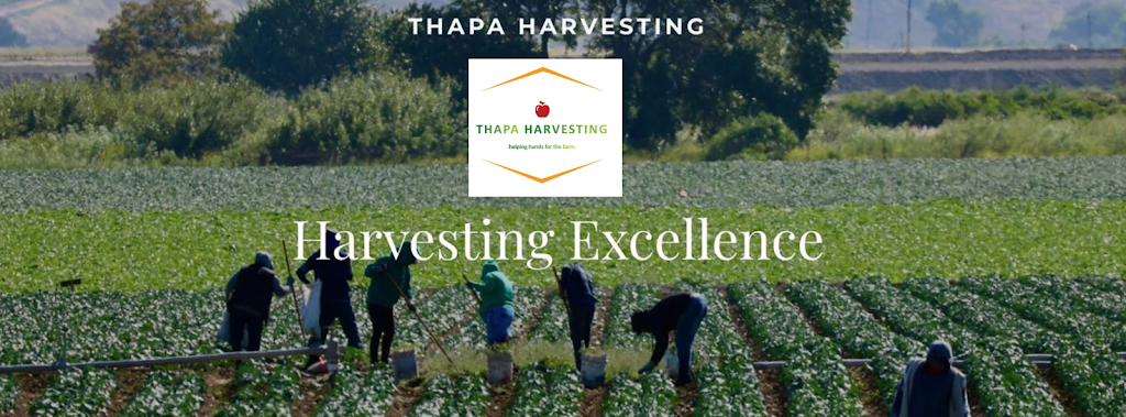 Thapa Harvesting | 6 Haig St, The Summit QLD 4377, Australia | Phone: 0401 337 862