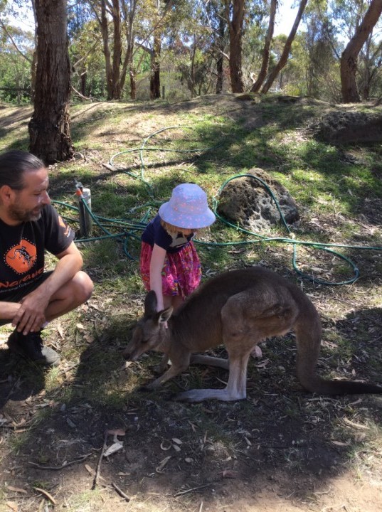 Goodstart Early Learning Waurn Ponds | Nicol Dr S &, Baxter Dr, Waurn Ponds VIC 3216, Australia | Phone: 1800 222 543