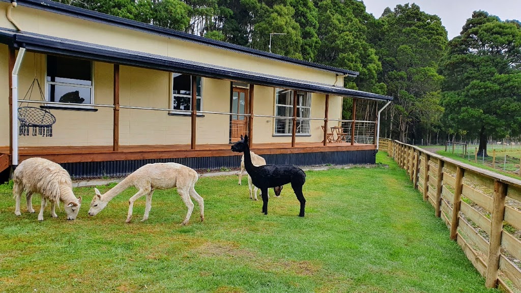 Farm Stay Lowana, Strahan | 419 Lowana Rd, Strahan TAS 7468, Australia | Phone: 0400 880 857