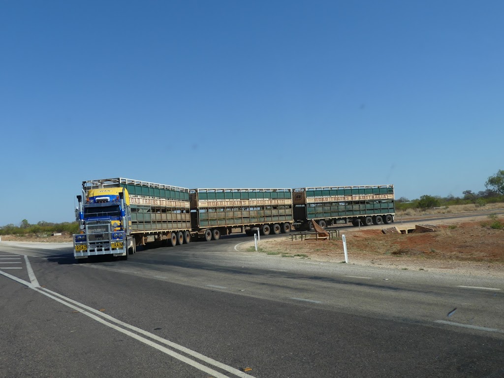 Road Trains of Australia | moving company | 588 Edward Rd, Narngulu WA 6532, Australia | 0899233333 OR +61 8 9923 3333