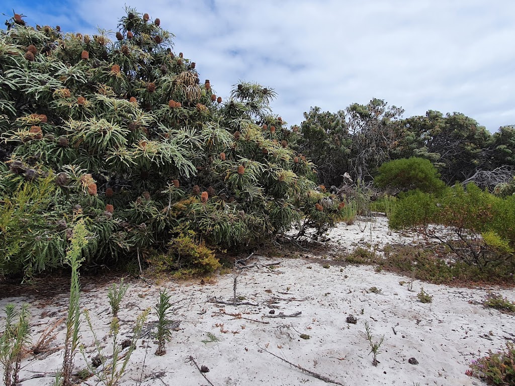 Stokes National Park | Coomalbidgup WA 6450, Australia | Phone: (08) 9083 2100