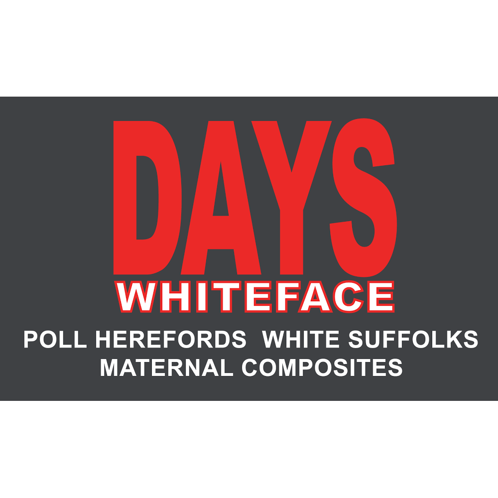 Days Whiteface | 868, Bordertown-Naracoorte Rd, Bordertown SA 5268, Australia | Phone: (08) 8752 1630