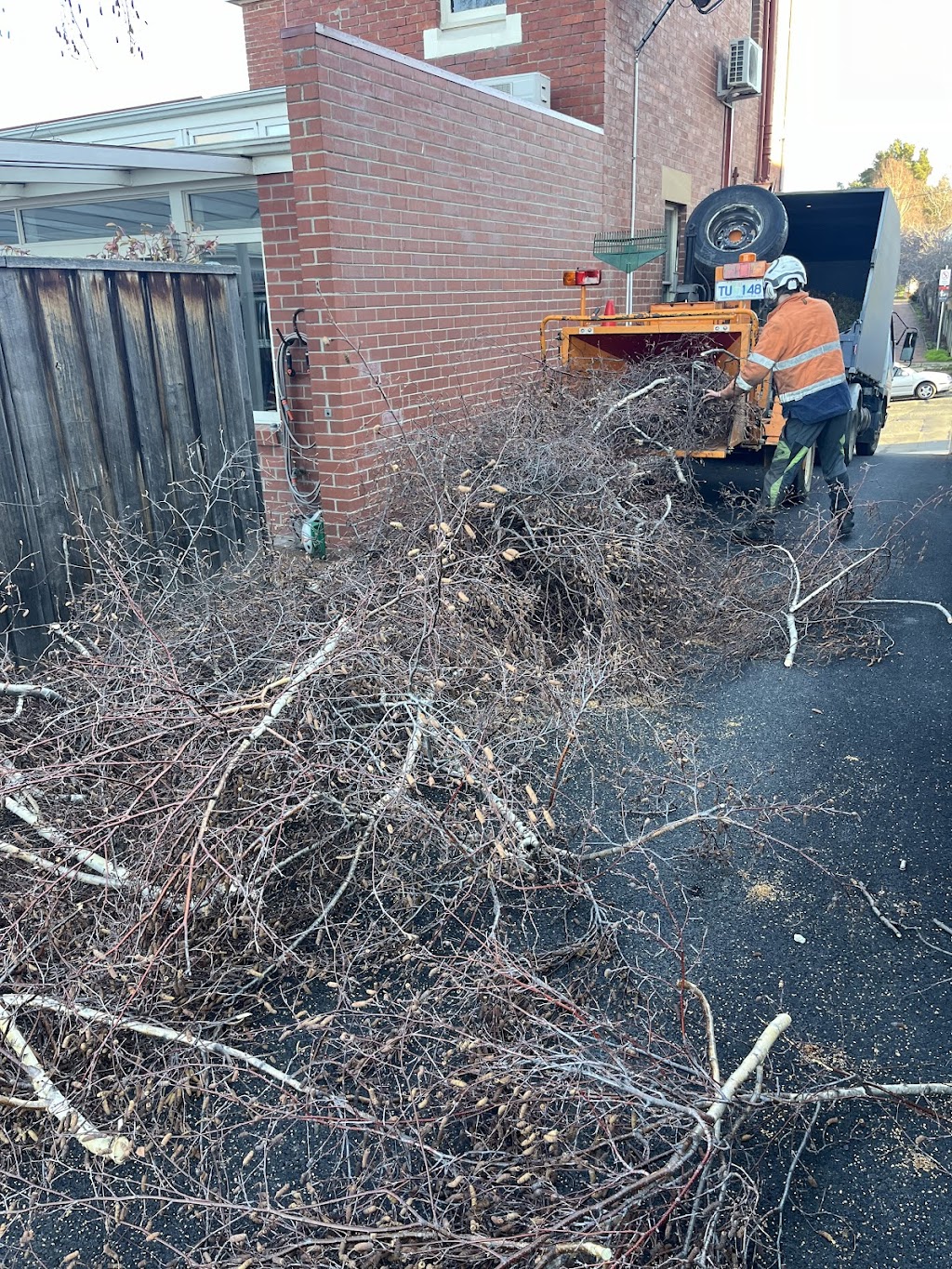 Tiger tree care | 90 Carlton Beach Rd, Dodges Ferry TAS 7173, Australia | Phone: 0457 585 139