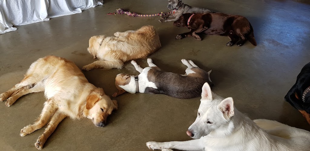 Woofs House Dog Daycare | 180 Narra Tarra-Moonyoonooka Rd, Moonyoonooka WA 6532, Australia | Phone: 0459 834 054