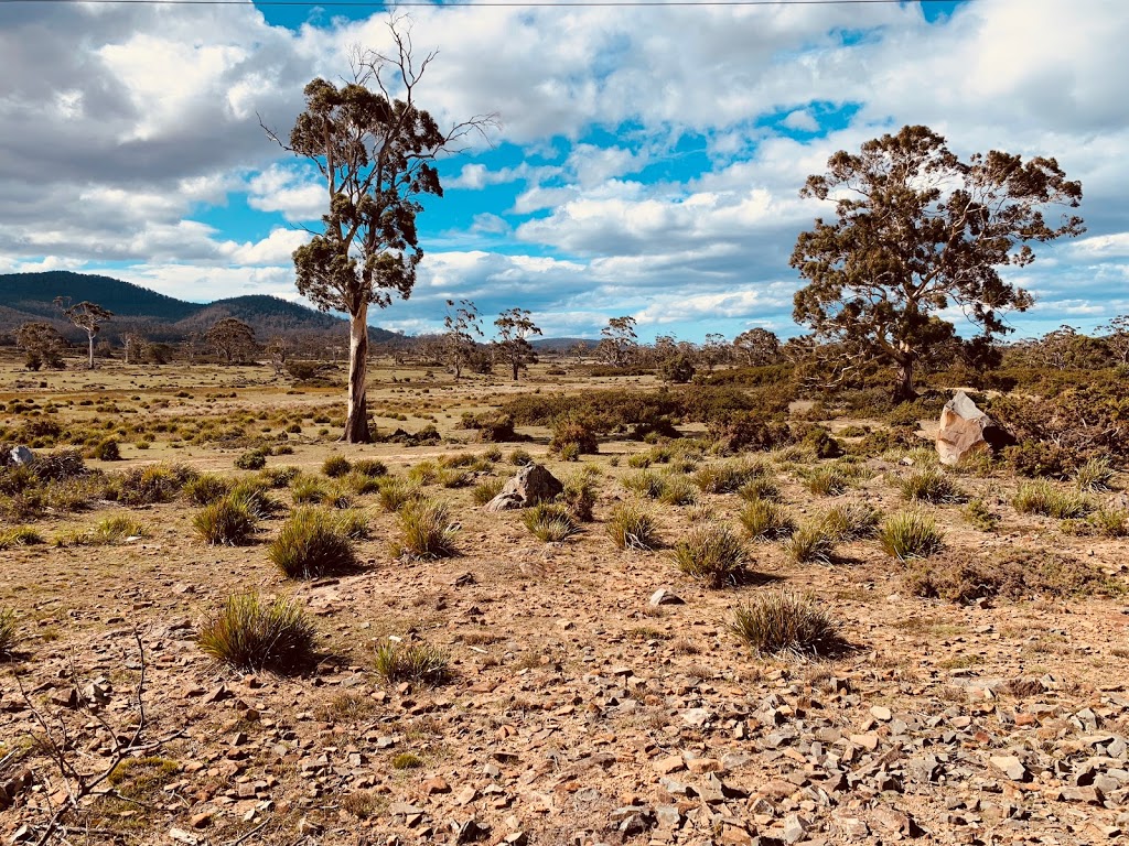 South Esk Pine Reserve | park | Bicheno TAS 7215, Australia