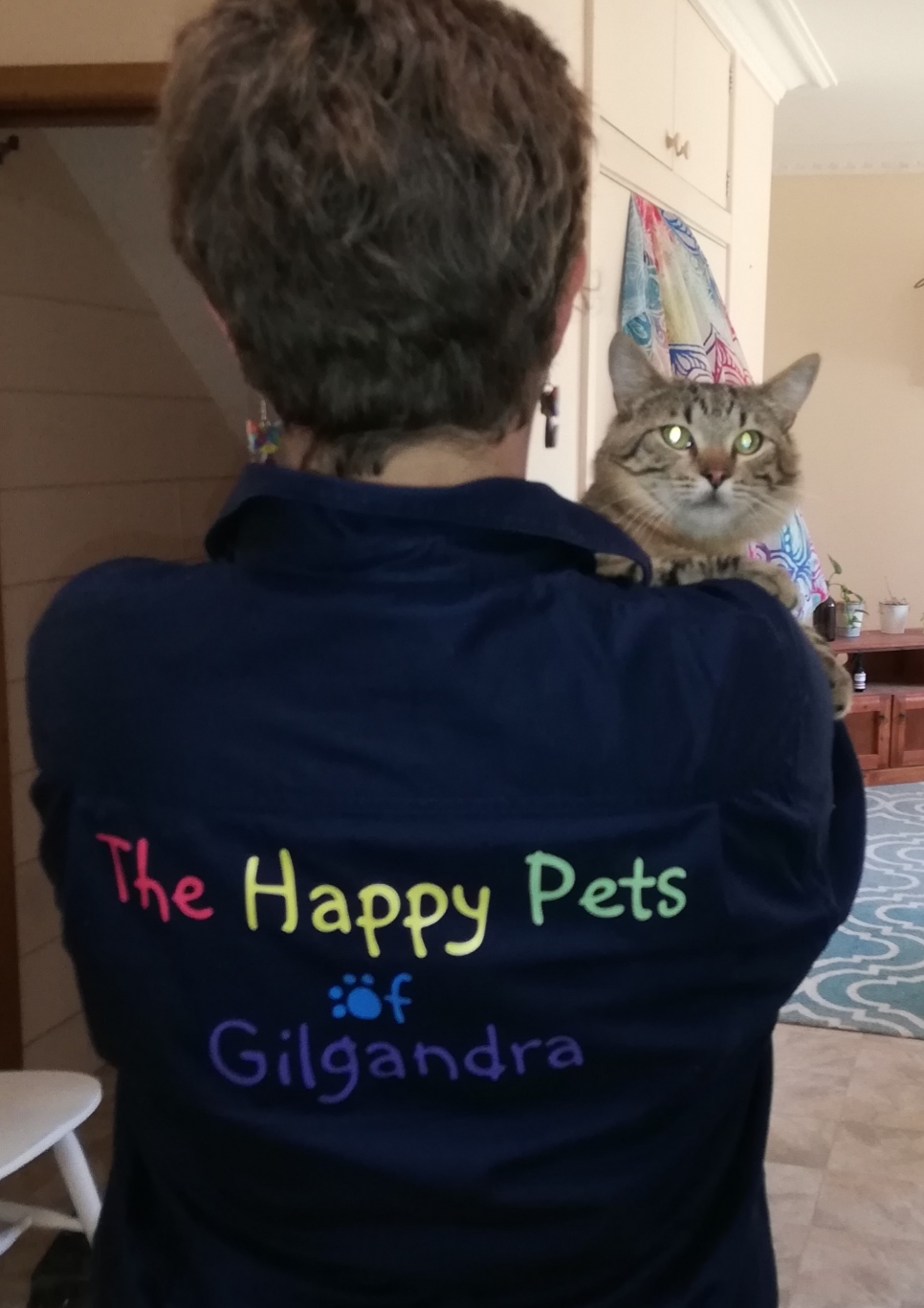 The Happy Pets of Gilgandra |  | 120 Miller St, Gilgandra NSW 2827, Australia | 0428893122 OR +61 428 893 122