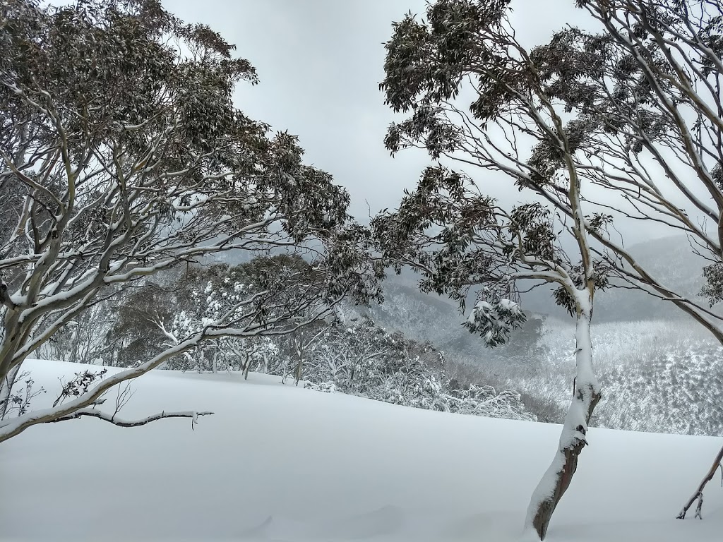 Burrumbeep Ski Club | lodging | 18 Davenport Dr, Hotham Heights VIC 3741, Australia