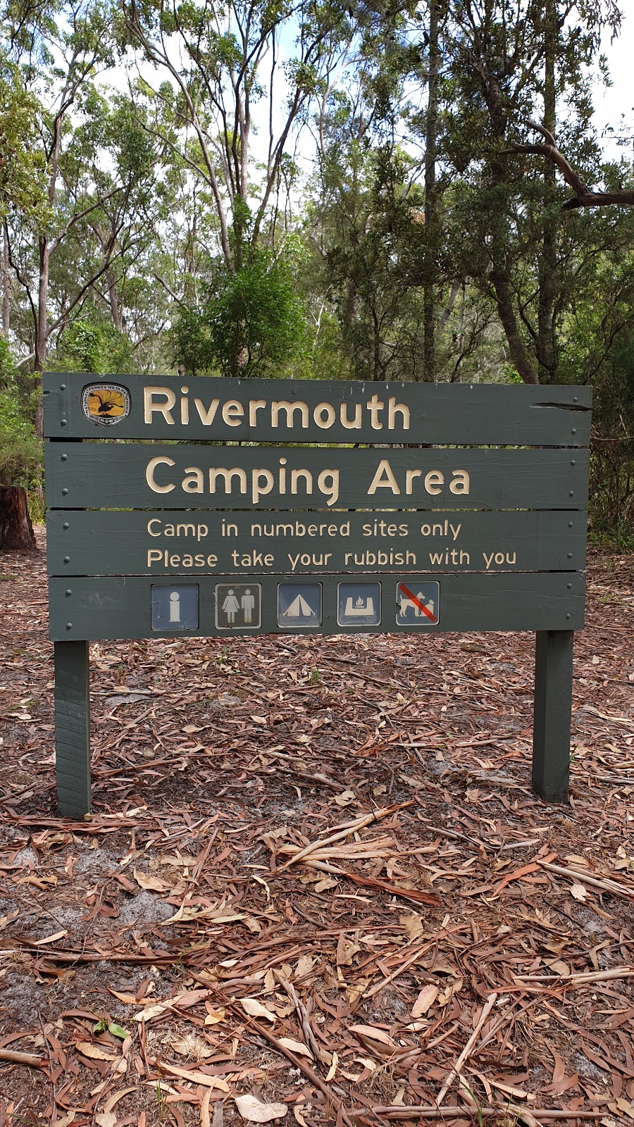 Rivermouth campground | campground | Mouth of River Trail, Bombah Point NSW 2423, Australia | 0265910300 OR +61 2 6591 0300