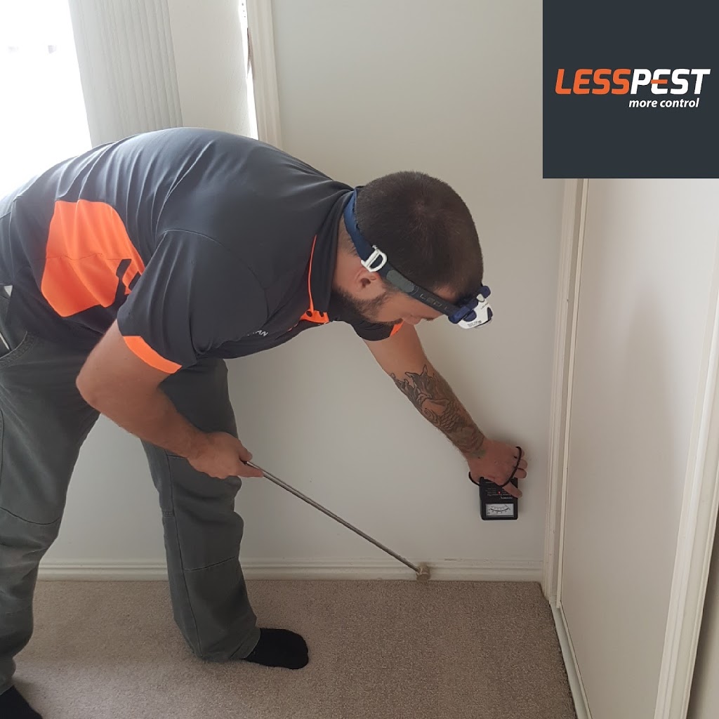 LessPest - Termite Treatments, Termite Inspections & Pest Contro | home goods store | Daryl Dr, Varsity Lakes QLD 4227, Australia | 0497006400 OR +61 497 006 400