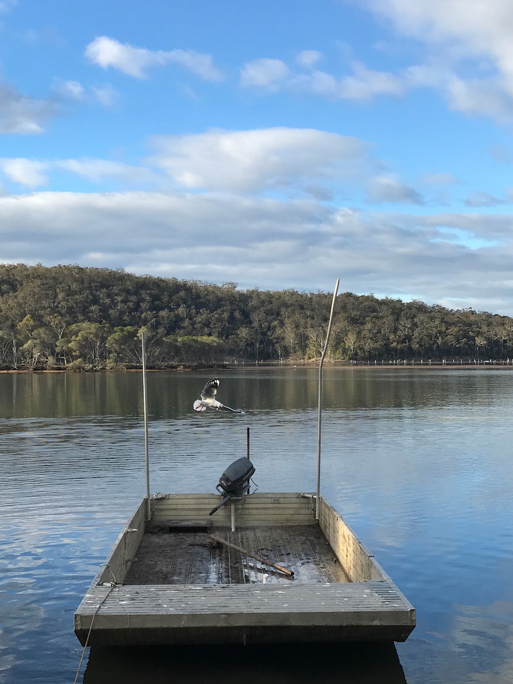 Pambula Oyster Co. | Shed 5/52 Landing Rd, Broadwater NSW 2549, Australia | Phone: 0402 760 647