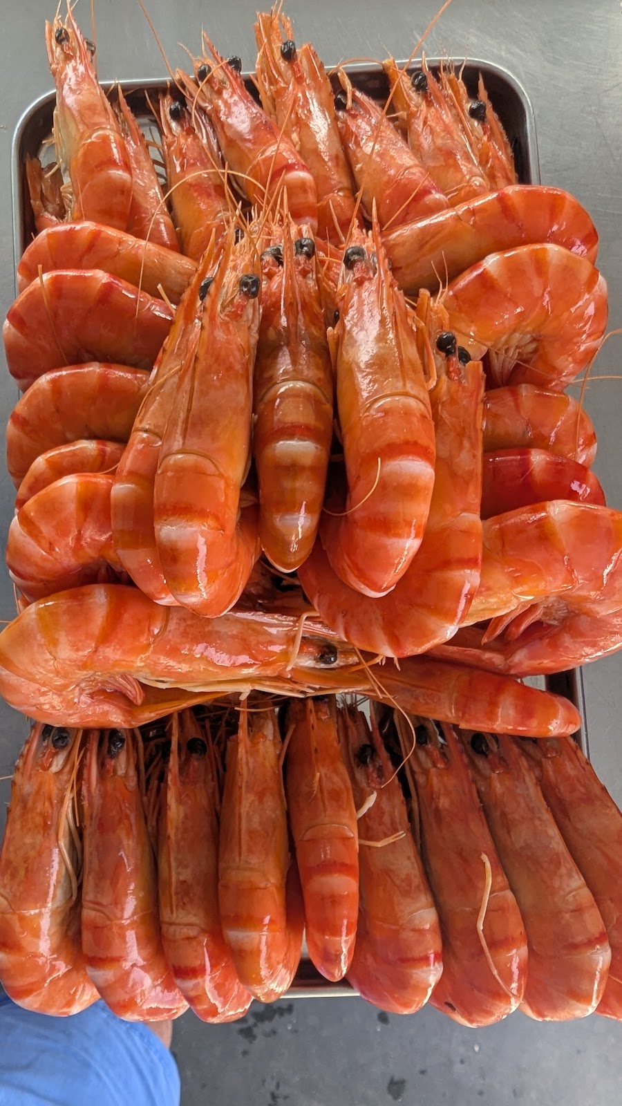 MK FRESH SEAFOODS | 32 Clark St, Colac East VIC 3250, Australia | Phone: 0456 562 061