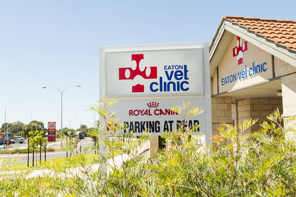 Dr Gabby Chadwick | veterinary care | 6 Cassowary Bend, Eaton WA 6232, Australia
