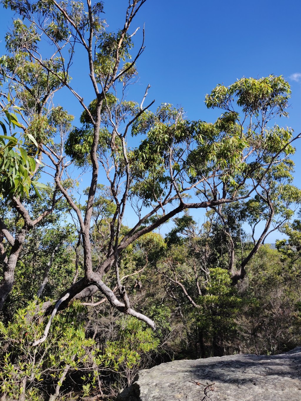 Red Hands Cave | park | Ku-Ring-Gai Chase NSW 2084, Australia