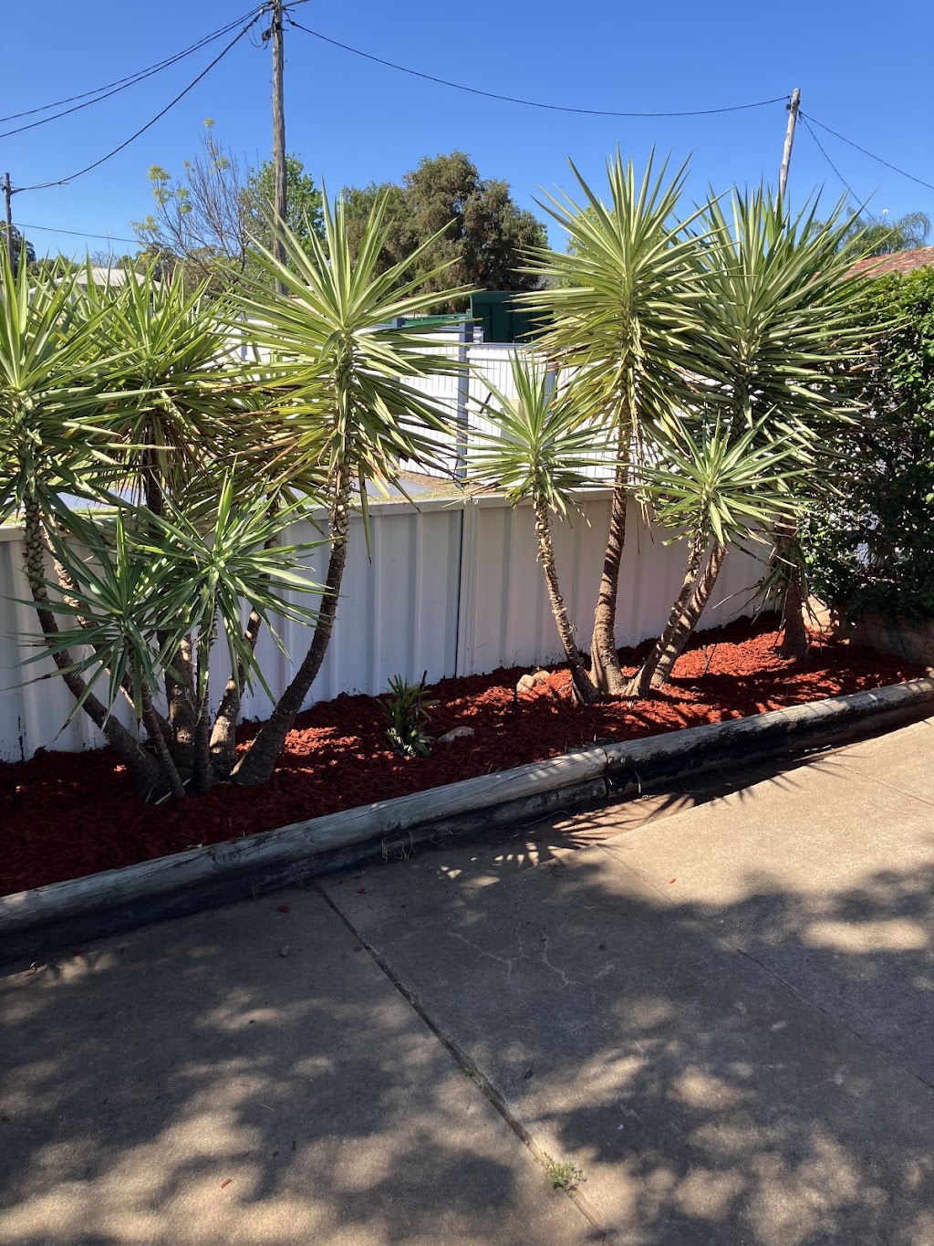 Jim’s Mowing - Minore | 11 Waldorf Pl, Dubbo NSW 2830, Australia | Phone: 0459 561 035