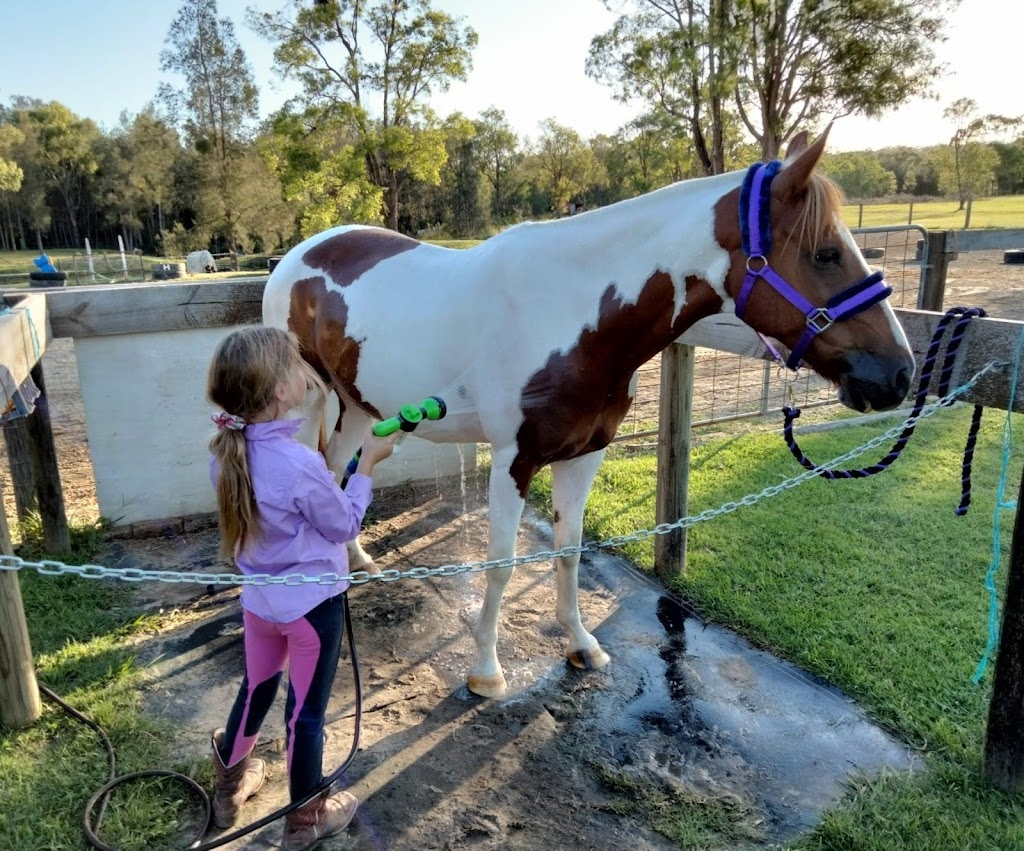 Anvil Acres - Equine Wellbeing | 2013 New England Hwy, Greta NSW 2334, Australia | Phone: 0409 155 402