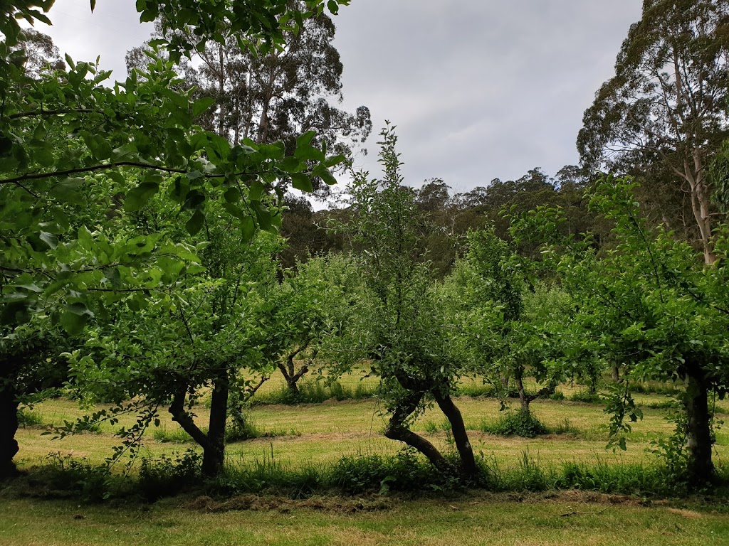 Phantom Falls | Allenvale Road, Henderson Track, Lorne VIC 3232, Australia | Phone: 13 19 63