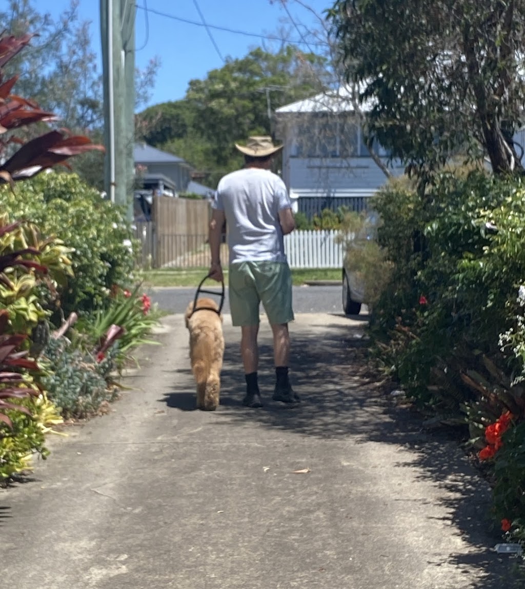 K9 Potential | 699 Cedar Creek Rd, Cedar Creek QLD 4520, Australia | Phone: 0401 935 750