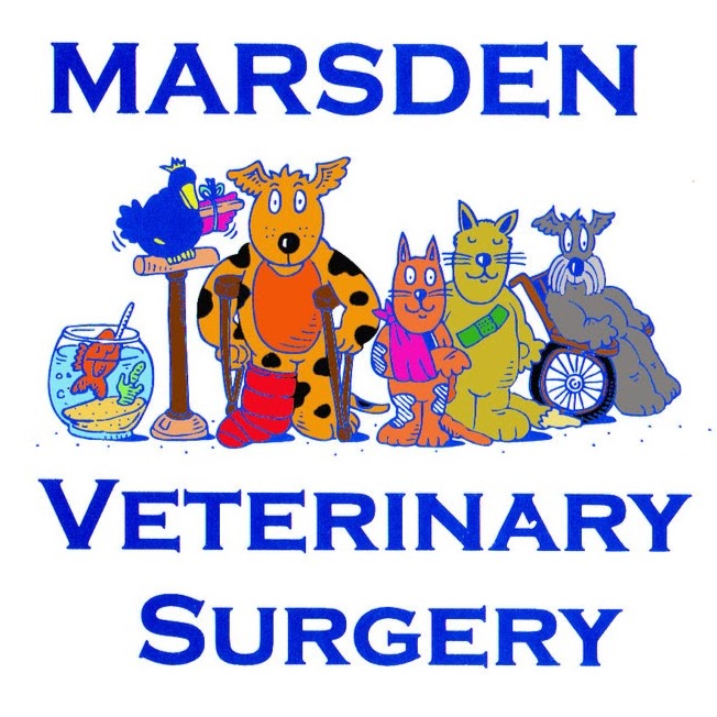 Marsden Veterinary Surgery | Cnr Chambers Flat Road &, Browns Plains Rd, Marsden QLD 4132, Australia | Phone: (07) 3200 6045