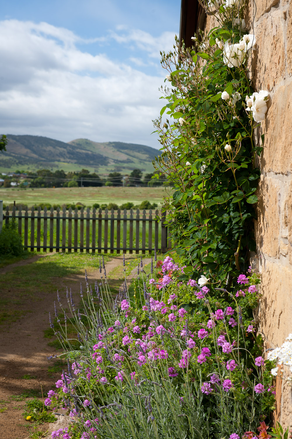 Daisy Bank Cottages | 78 Middle Tea Tree Rd, Richmond TAS 7025, Australia | Phone: 0417 202 963 Daisy Bank Cottages | 78 Middle Tea Tree Rd, Richmond TAS 7025, Australia | Phone: 0417 202 963
