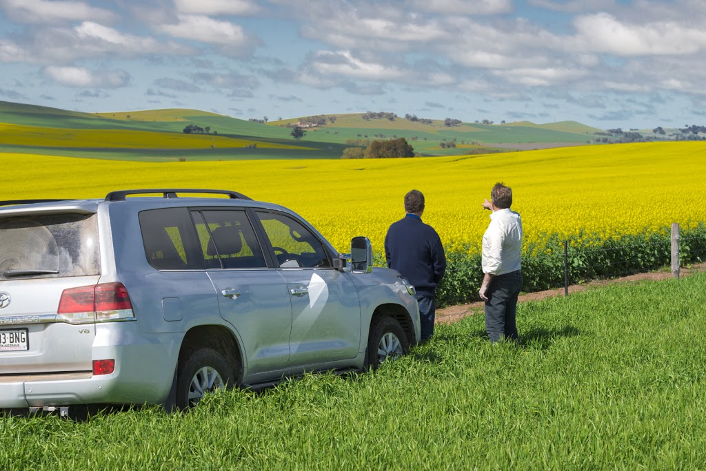 Ray White Rural South Australia | 326 Main N Rd, Clare SA 5453, Australia | Phone: (08) 8842 3202