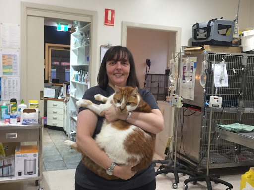 Railway Row Veterinary Clinic | veterinary care | 1 Station St, Emu Plains NSW 2750, Australia | 0247353268 OR +61 2 4735 3268