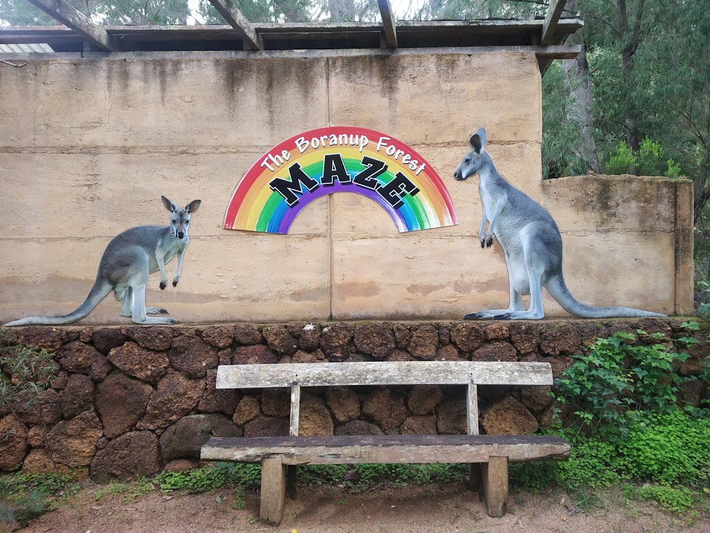 Boranup Forest Maze (open all public holidays, 5am-8pm) | tourist attraction | 6 Maze Rd, Karridale WA 6288, Australia | 0467271596 OR +61 467 271 596