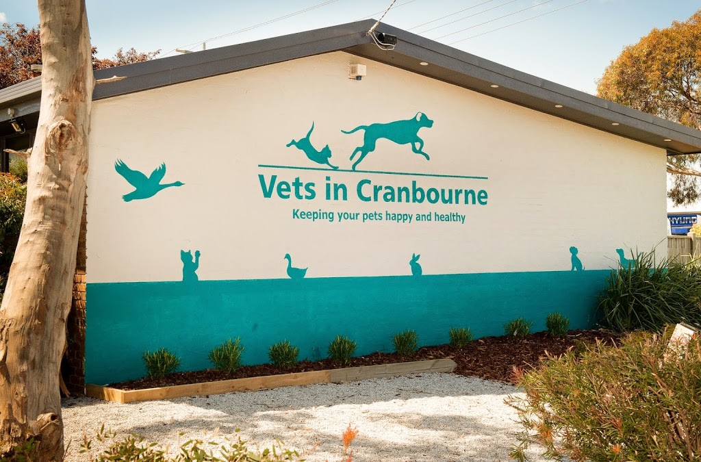 Vets in Cranbourne | veterinary care | 199 S Gippsland Hwy, Cranbourne VIC 3977, Australia | 0359953444 OR +61 3 5995 3444