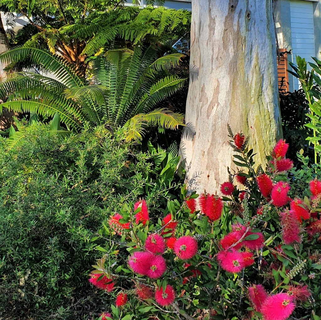Aspect Landscape Design | 27 Lake Point Way, Murrays Beach NSW 2281, Australia | Phone: 0401 314 158