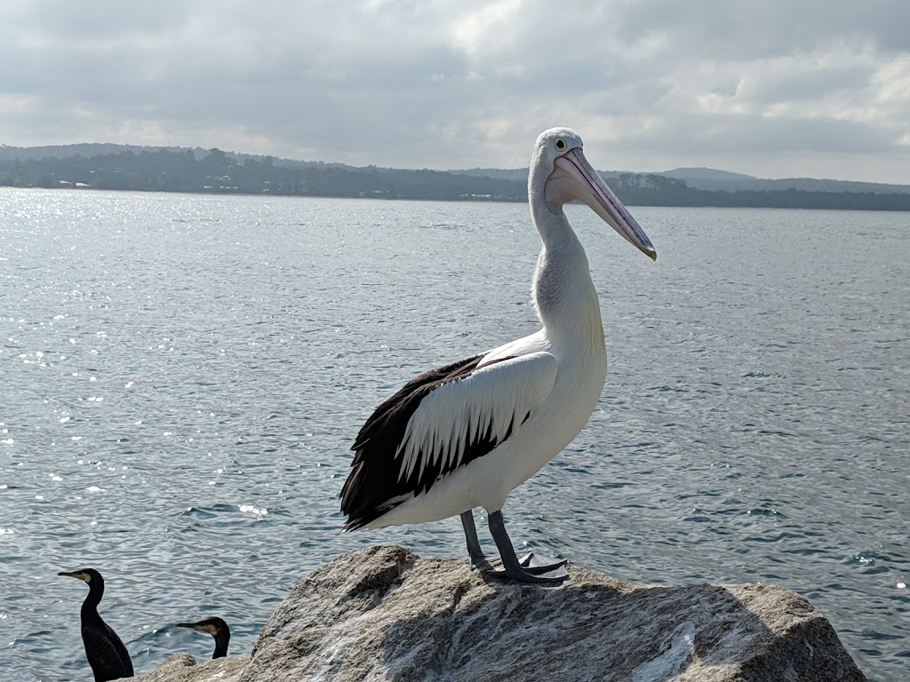 Hanging Rock Boat Ramp | Hanging Rock Pl, Batemans Bay NSW 2536, Australia | Phone: (02) 4474 1000