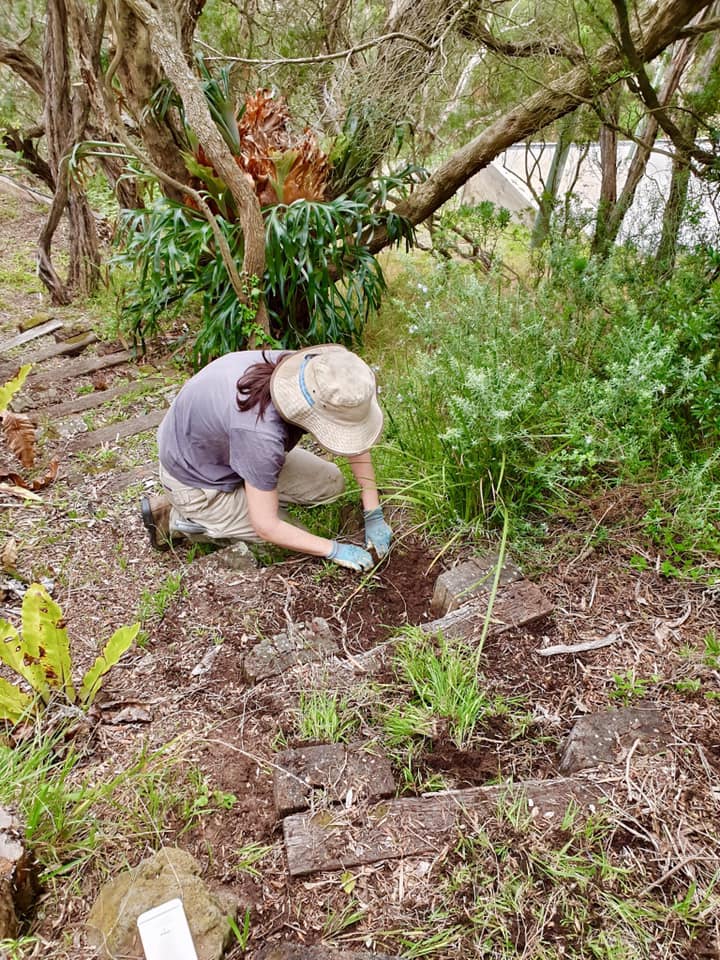 Bloomberry Garden Maintenance | general contractor | 39 Cornwall Cres, Mount Martha VIC 3934, Australia | 0407552078 OR +61 407 552 078