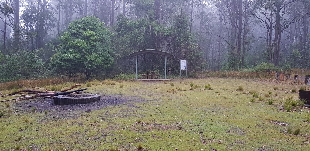 Youngville campground | Mount Royal Road, Mount Royal NSW 2330, Australia | Phone: (02) 6574 5555