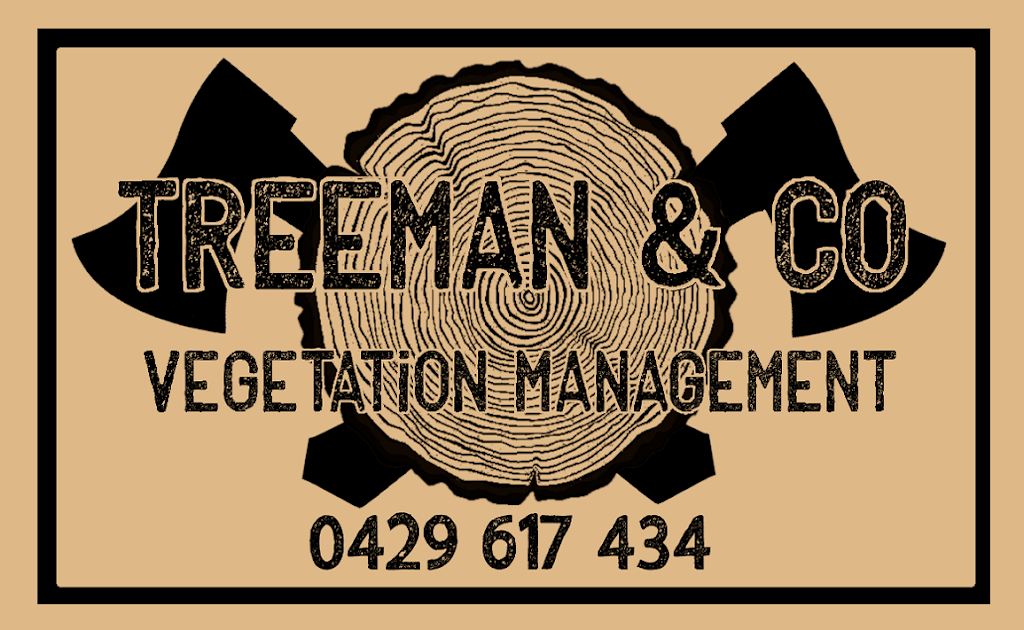 Treeman & Co | 263 Old Brierfield Rd, Bellingen NSW 2454, Australia | Phone: 0429 617 434