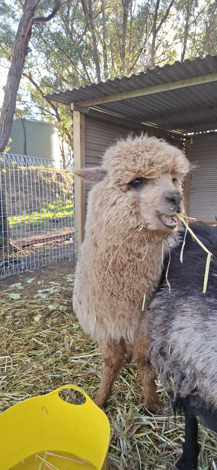 lea farms pty ltd | 35 Narelle Ln, Greenwich Park NSW 2580, Australia | Phone: 0406 785 211