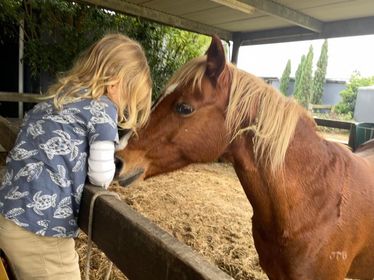 Cardinia Equine Assisted Counselling | 1070 Caldermeade Rd, Catani VIC 3981, Australia | Phone: 0421 343 745