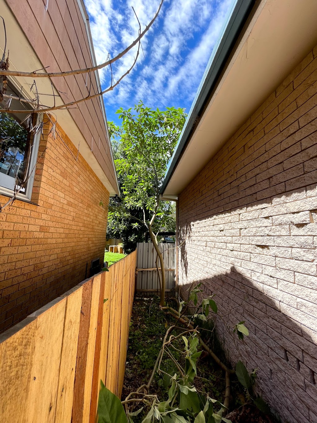 Seascape Vegetation Tree Services | 4 Coorella Cct, Port Macquarie NSW 2444, Australia | Phone: 0413 210 483