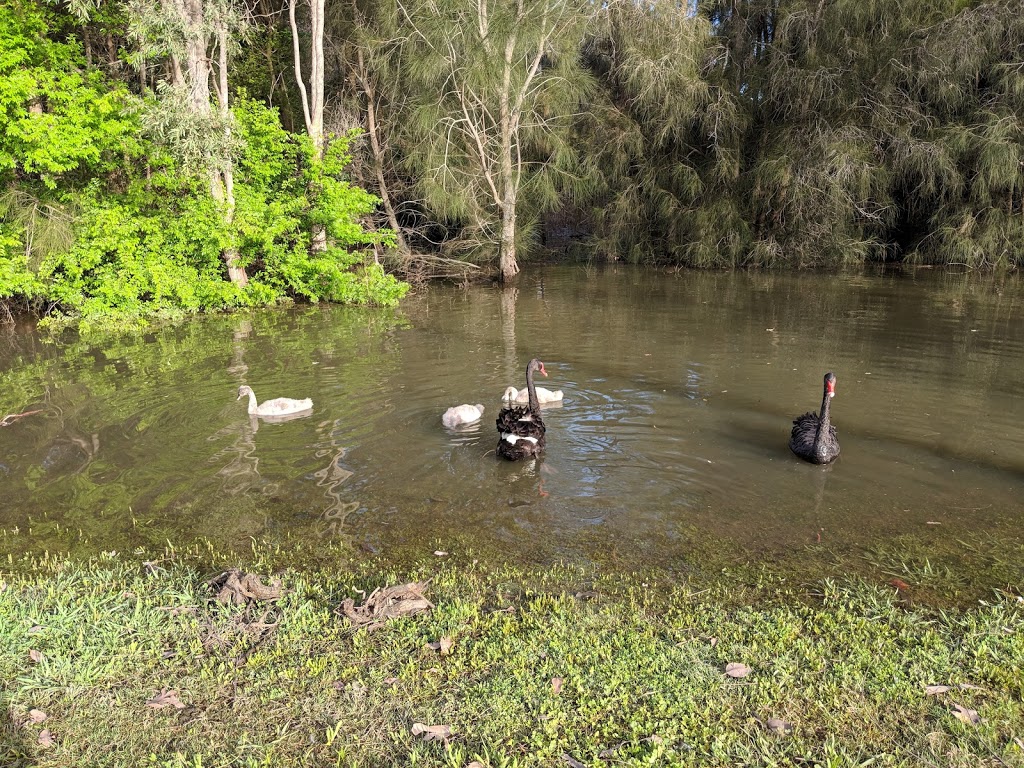 Swan Reserve | park | Swan Ct, Harrington Park NSW 2567, Australia | 0246547777 OR +61 2 4654 7777