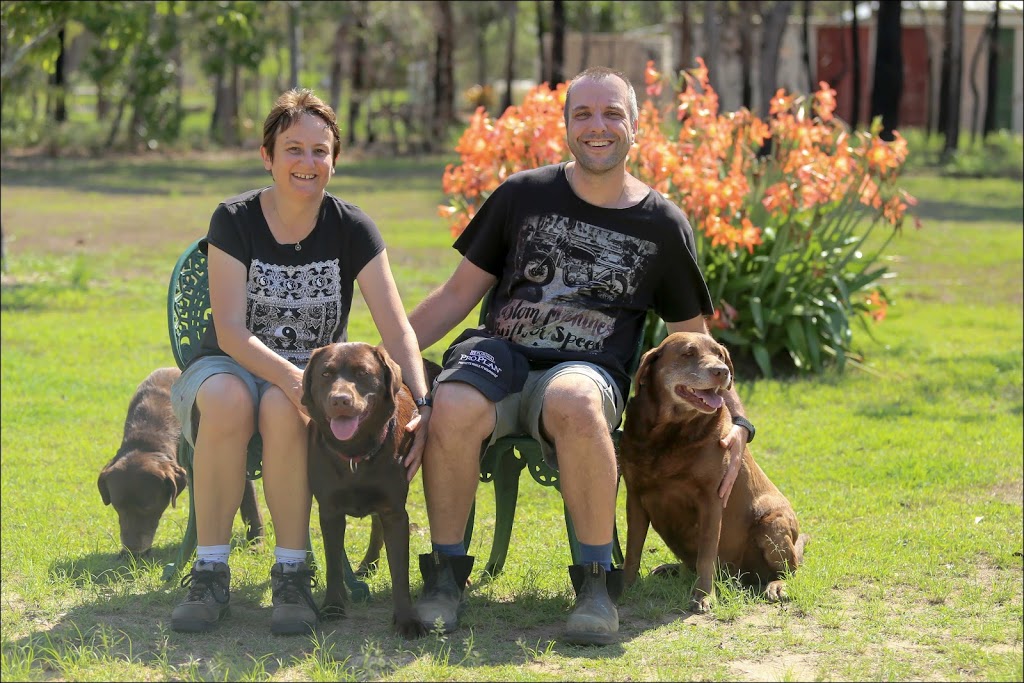 Avokah Multipurpose Labrador Retrievers | 210 Ten Mile Rd, Meadowvale QLD 4670, Australia | Phone: (07) 4159 9192