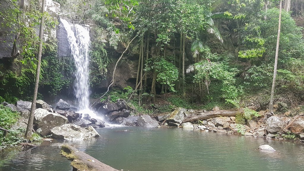 Tamborine National Park | park | Cedar Creek QLD 4207, Australia | 137468 OR +61 137468