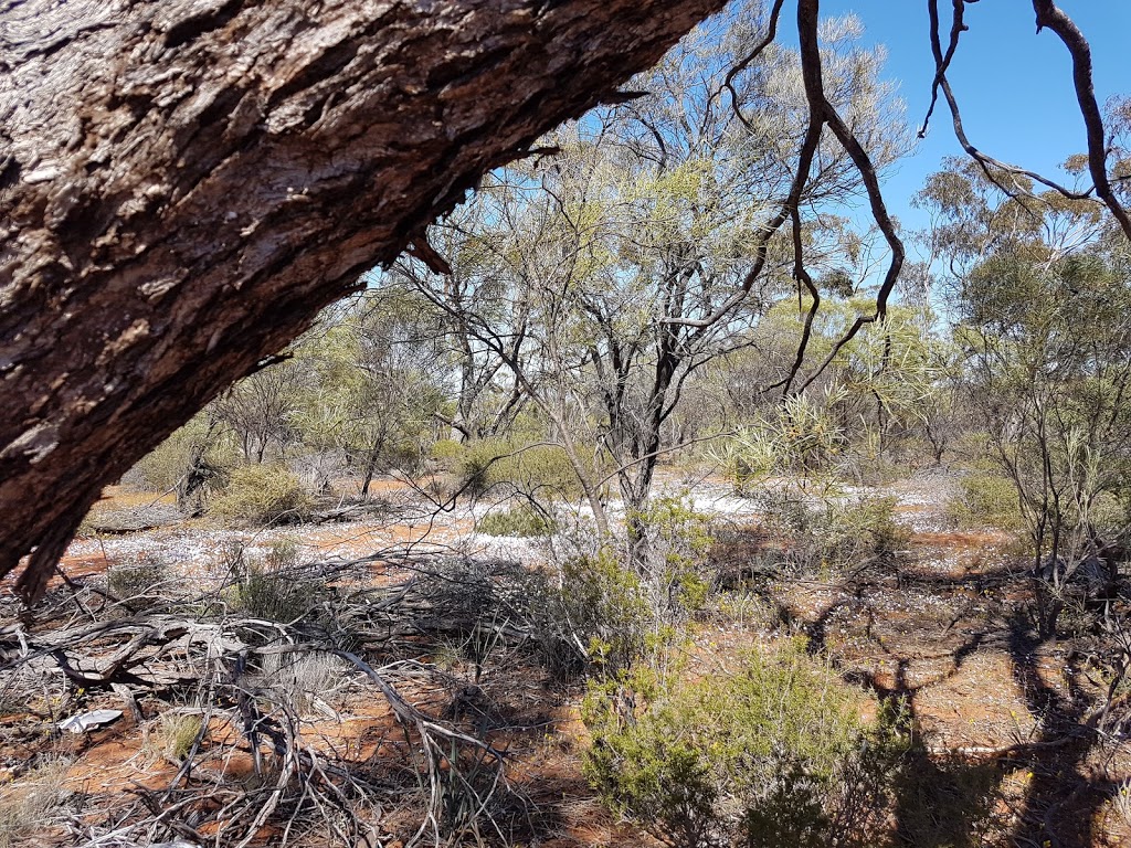 Darling Range Regional Park | Kelmscott WA 6111, Australia