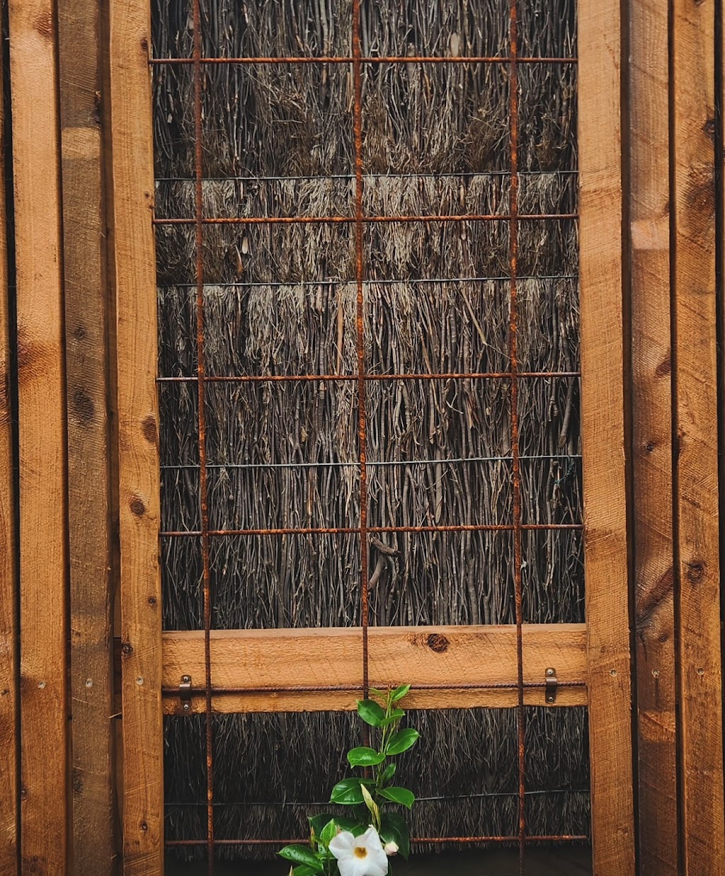 Betula Landscapes | 47 Ridge Rd, Fairhaven VIC 3231, Australia | Phone: 0484 005 404