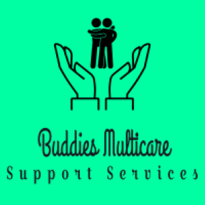 Buddies Multicare Support Services |  | 46 Seventeenth Ave, Austral NSW 2179, Australia | 0415406811 OR +61 415 406 811